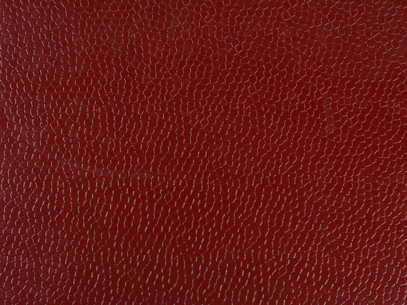 800600܌(bio)@-t (1).jpg